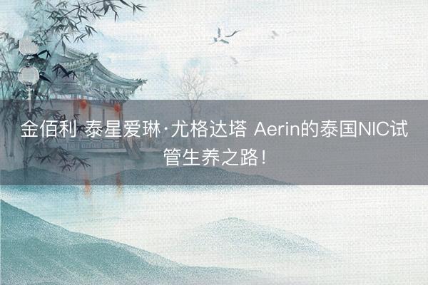 金佰利 泰星爱琳·尤格达塔 Aerin的泰国NIC试管生养之路！