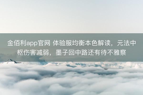 金佰利app官网 体验服均衡本色解读,元法中枢伤害减弱,墨子回中路还有待不雅察