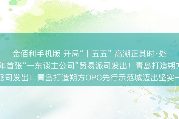 金佰利手机版 开局“十五五” 高潮正其时·处事创业 担当尽职｜马年首张“一东谈主公司”贸易派司发出！青岛打造朔方OPC先行示范城迈出坚实一步