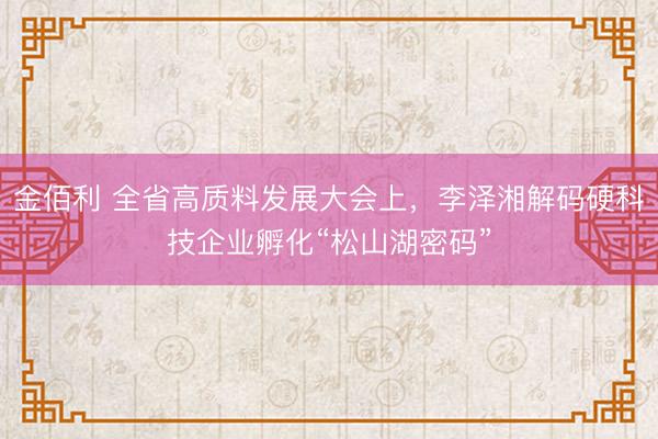 金佰利 全省高质料发展大会上,李泽湘解码硬科技企业孵化“松山湖密码”