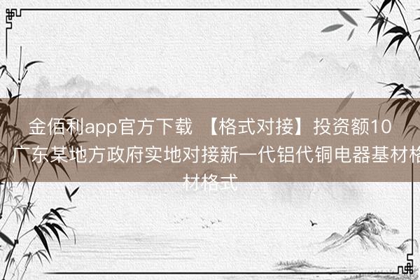 金佰利app官方下载 【格式对接】投资额10亿!广东某地方政府实地对接新一代铝代铜电器基材格式